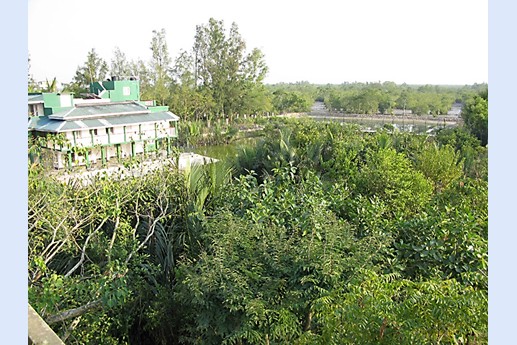 Viaggio in India 2008 - Sunderbans